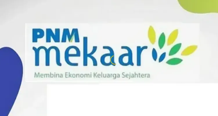 Inilah Cara Mudah Cek Bantuan PNM Mekar dengan Langkah Praktis