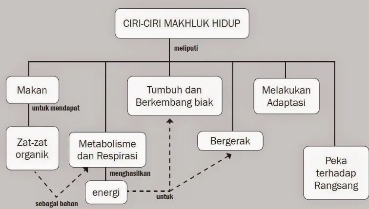 Tips & Trik: 4 Contoh Cara Makhluk Hidup Beradaptasi Dengan Lingkungannya