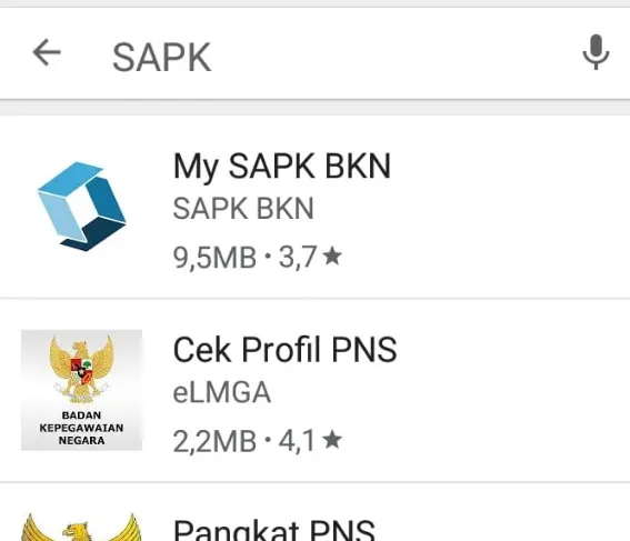 Rahasia Terbaru Membuka Sapk Bkn 2021 Dengan Mudah