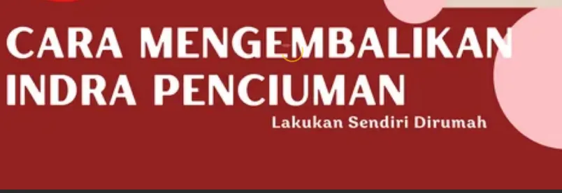 Rahasia Mengembalikan Indra Perasa Anda dengan Mudah